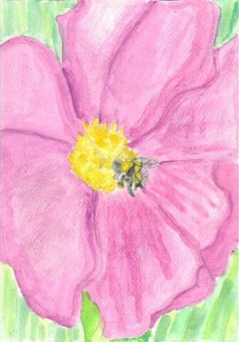 Bee landing on a flower by Evie Herman-Ball